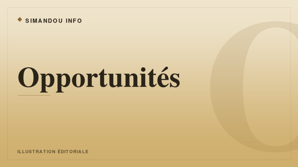 UNICEF Guinée : consultant appui au MEFB (financement innovant)