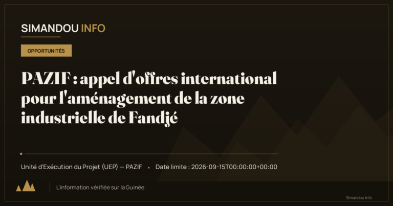 PAZIF : appel d’offres international pour l’aménagement de la zone industrielle de Fandjé