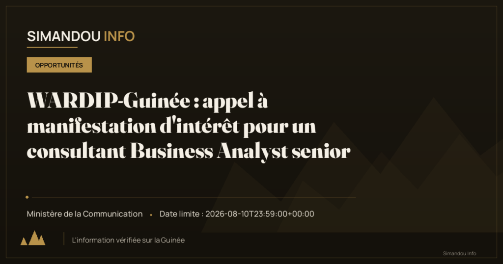 WARDIP-Guinée : appel à manifestation d’intérêt pour un consultant Business Analyst senior
