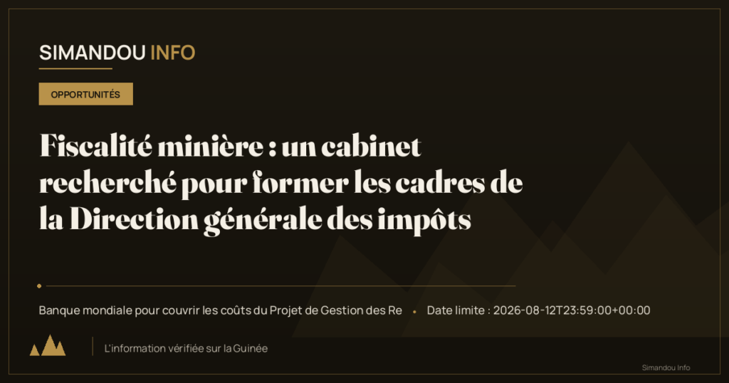 Fiscalité minière : un cabinet recherché pour former les cadres de la Direction générale des impôts
