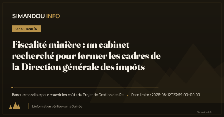 Fiscalité minière : un cabinet recherché pour former les cadres de la Direction générale des impôts