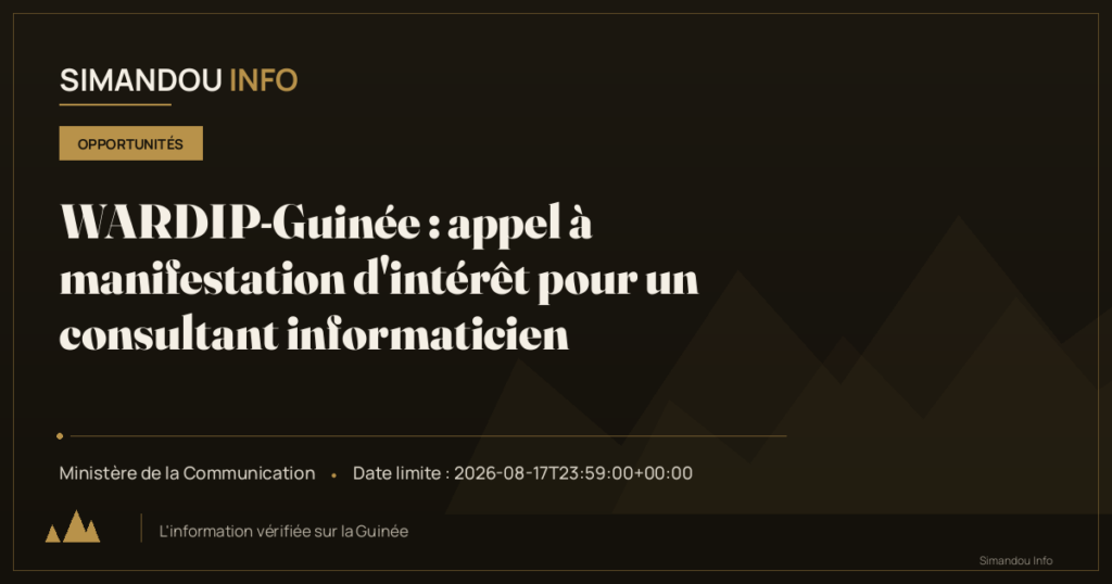 WARDIP-Guinée : appel à manifestation d’intérêt pour un consultant informaticien