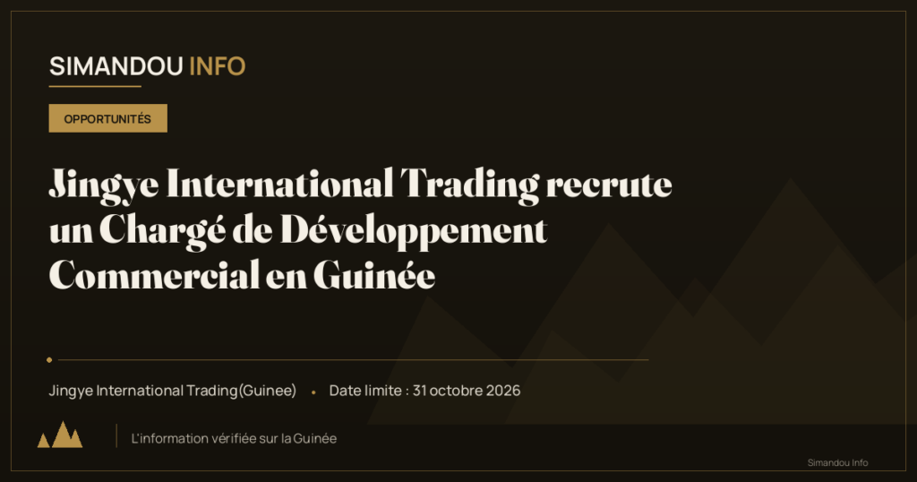 Jingye International Trading recrute un Chargé de Développement Commercial en Guinée