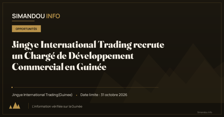 Jingye International Trading recrute un Chargé de Développement Commercial en Guinée