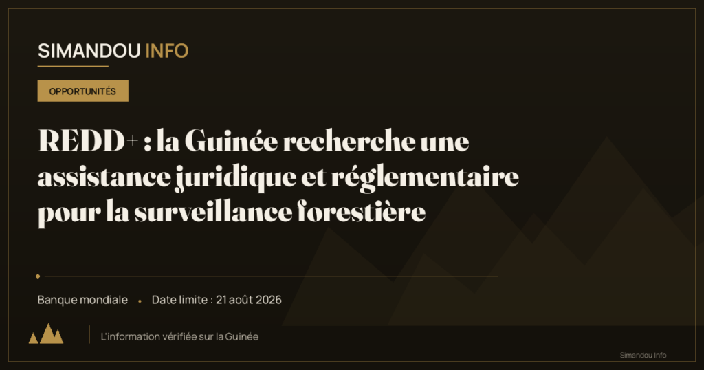 REDD+ : la Guinée recherche une assistance juridique et réglementaire pour la surveillance forestière
