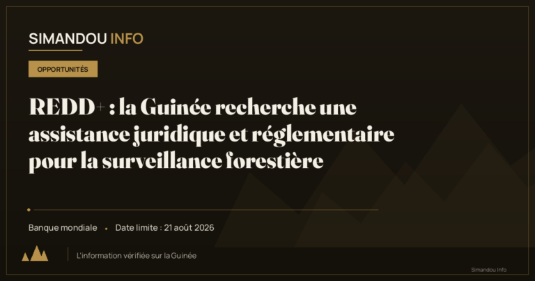 REDD+ : la Guinée recherche une assistance juridique et réglementaire pour la surveillance forestière