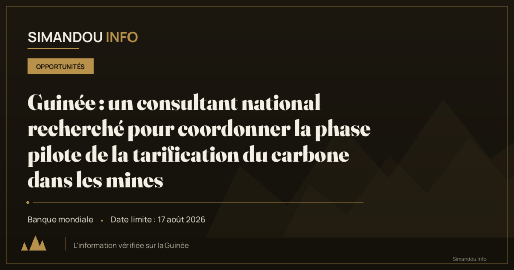 Guinée : un consultant national recherché pour coordonner la phase pilote de la tarification du carbone dans les mines
