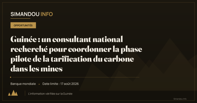 Guinée : un consultant national recherché pour coordonner la phase pilote de la tarification du carbone dans les mines