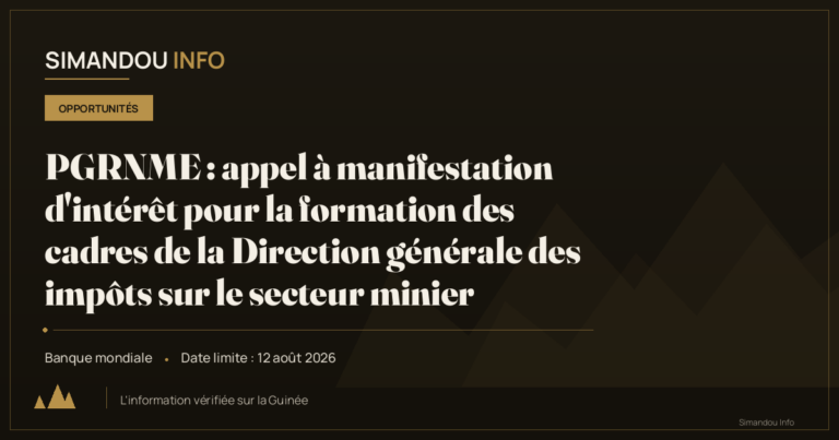 PGRNME : appel à manifestation d’intérêt pour la formation des cadres de la Direction générale des impôts sur le secteur minier