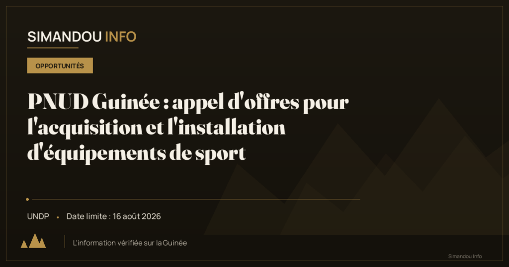 PNUD Guinée : appel d’offres pour l’acquisition et l’installation d’équipements de sport
