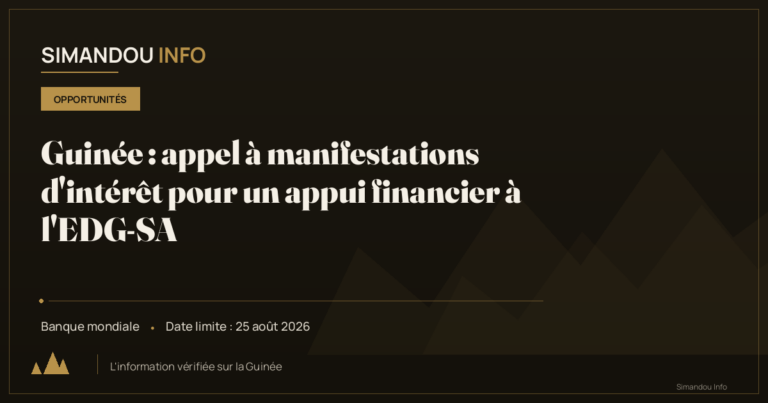 Guinée : appel à manifestations d’intérêt pour un appui financier à l’EDG-SA