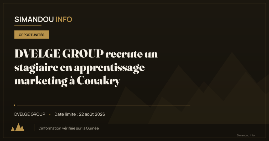 DVELGE GROUP recrute un stagiaire en apprentissage marketing à Conakry