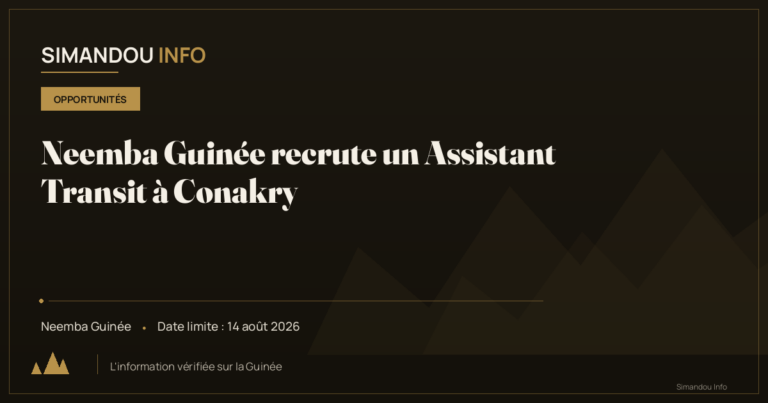 Neemba Guinée recrute un Assistant Transit à Conakry