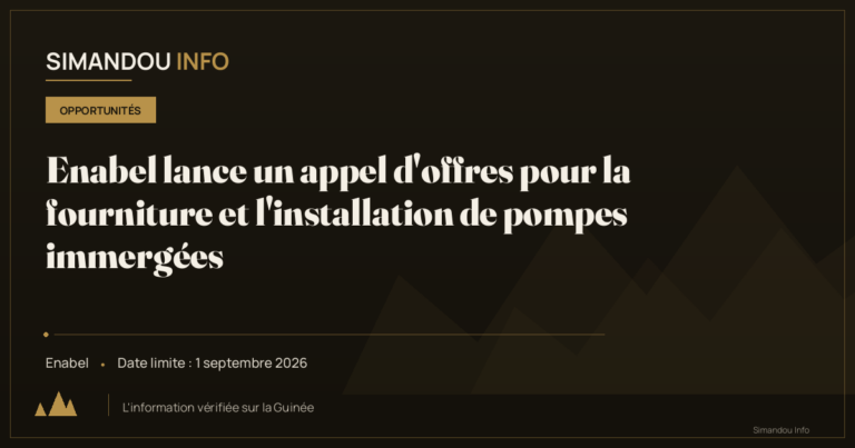Enabel lance un appel d’offres pour la fourniture et l’installation de pompes immergées