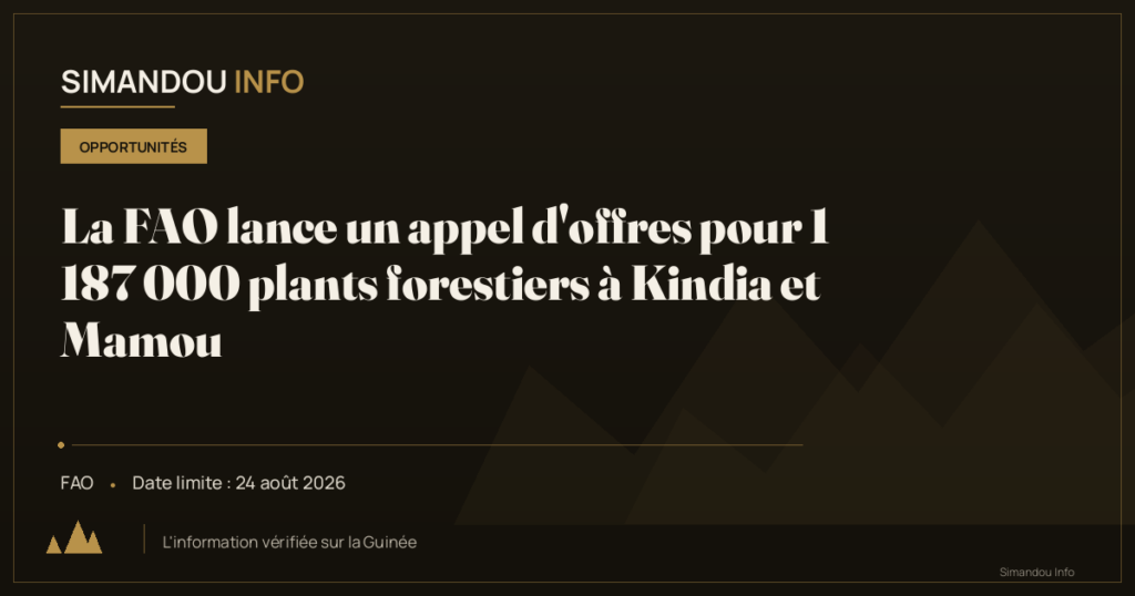 La FAO lance un appel d’offres pour 1 187 000 plants forestiers à Kindia et Mamou
