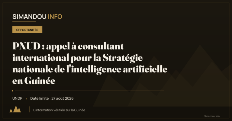 PNUD : appel à consultant international pour la Stratégie nationale de l’intelligence artificielle en Guinée
