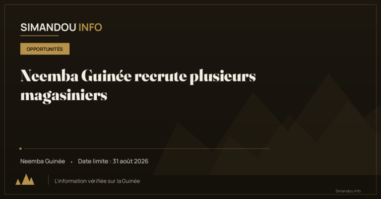 Neemba Guinée recrute plusieurs magasiniers
