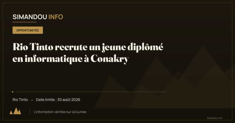 Rio Tinto recrute un jeune diplômé en informatique à Conakry