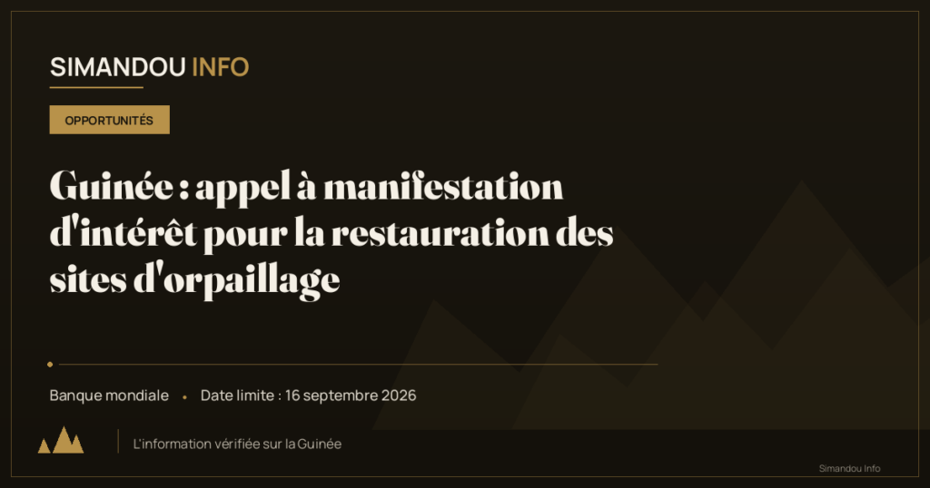 Guinée : appel à manifestation d’intérêt pour la restauration des sites d’orpaillage