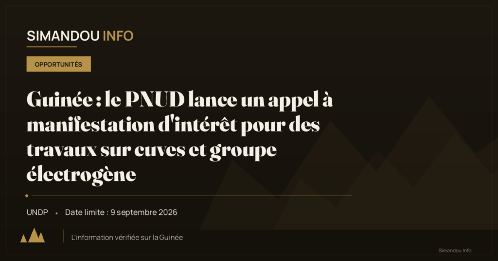 Guinée : le PNUD lance un appel à manifestation d’intérêt pour des travaux sur cuves et groupe électrogène