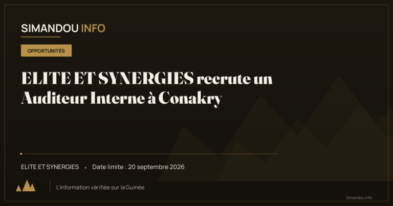 ELITE ET SYNERGIES recrute un Auditeur Interne à Conakry