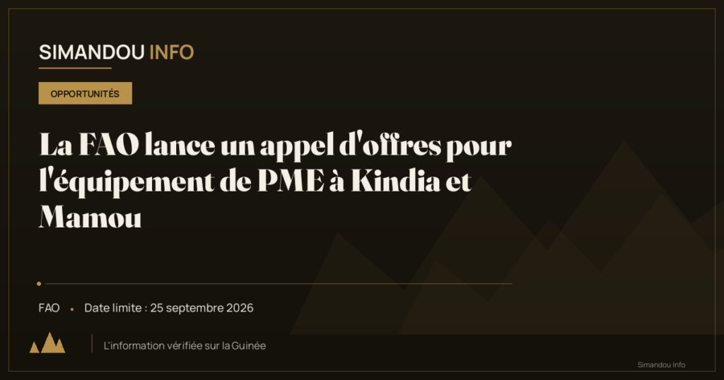 La FAO lance un appel d’offres pour l’équipement de PME à Kindia et Mamou