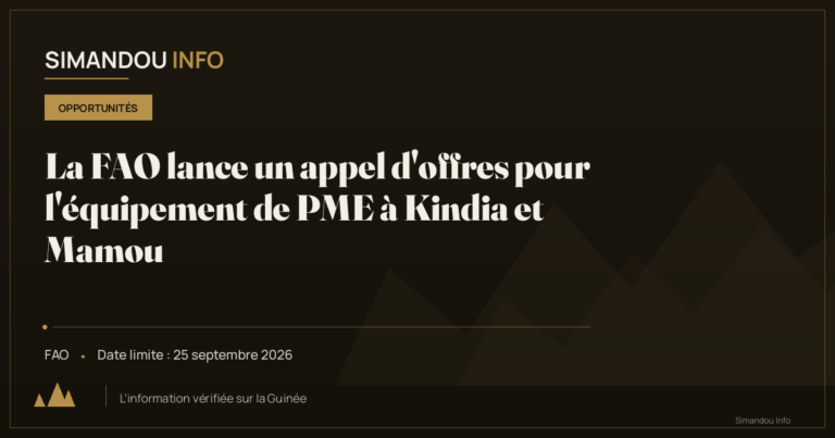 La FAO lance un appel d’offres pour l’équipement de PME à Kindia et Mamou
