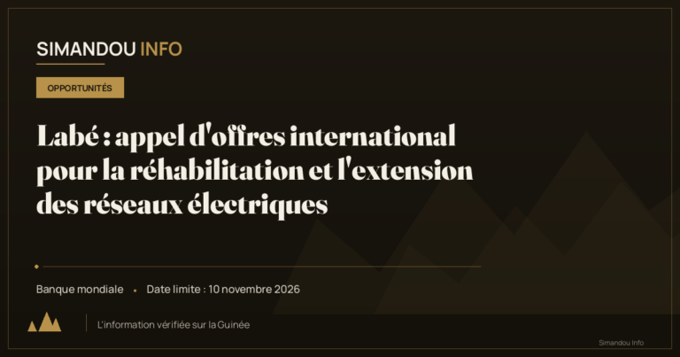 Labé : appel d’offres international pour la réhabilitation et l’extension des réseaux électriques