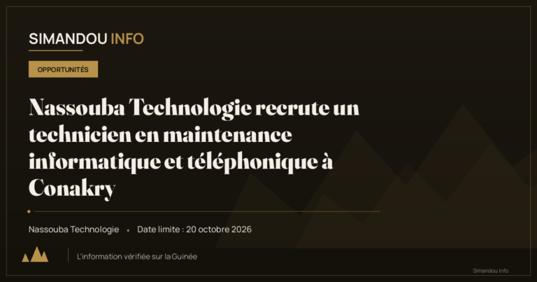 Nassouba Technologie recrute un technicien en maintenance informatique et téléphonique à Conakry
